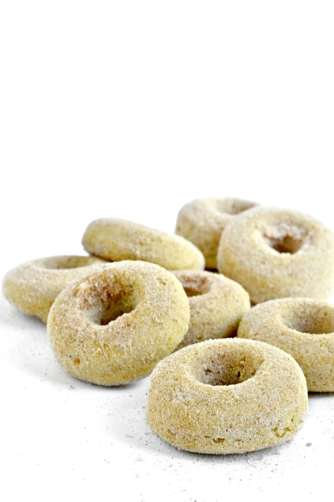 Cinnamon Sugar Gluten Free Mini Donuts 