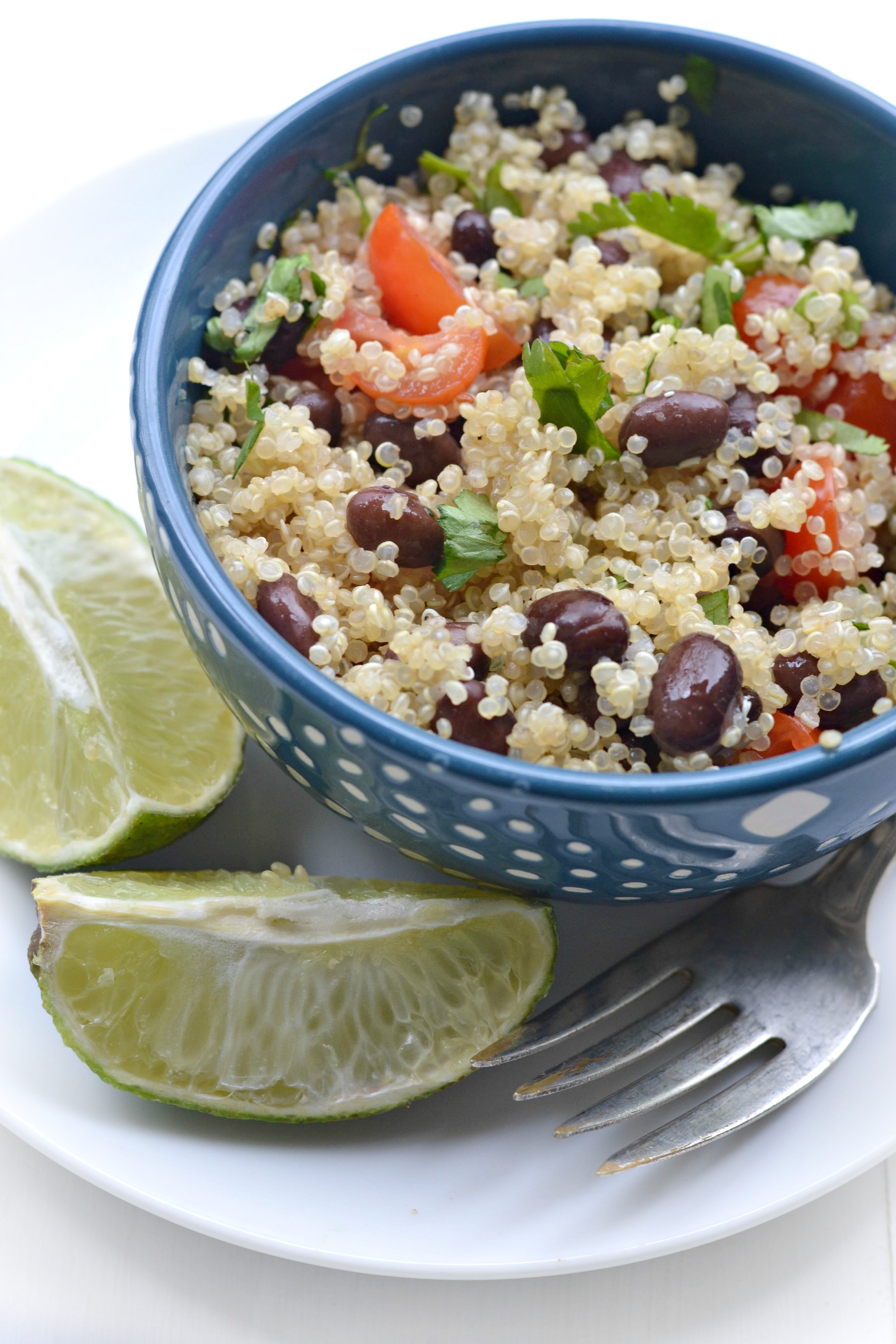 Black Bean Quinoa Salad Fork and Beans