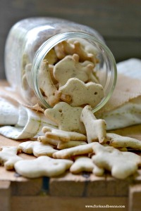 Homemade Animal Crackers (gluten, egg, and dairy-free) - Fork & Beans