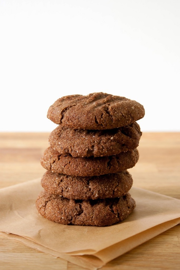 Hot Cocoa Snickerdoodles from Decadent Gluten-free Vegan Baking Cookbook