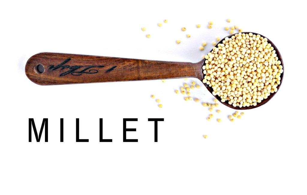 Millet: A Guide to Gluten Free Ancient Grains