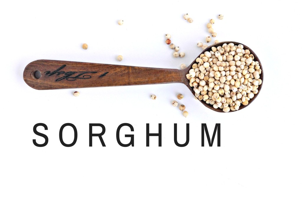 Sorghum: A Guide to Gluten Free Ancient Grains