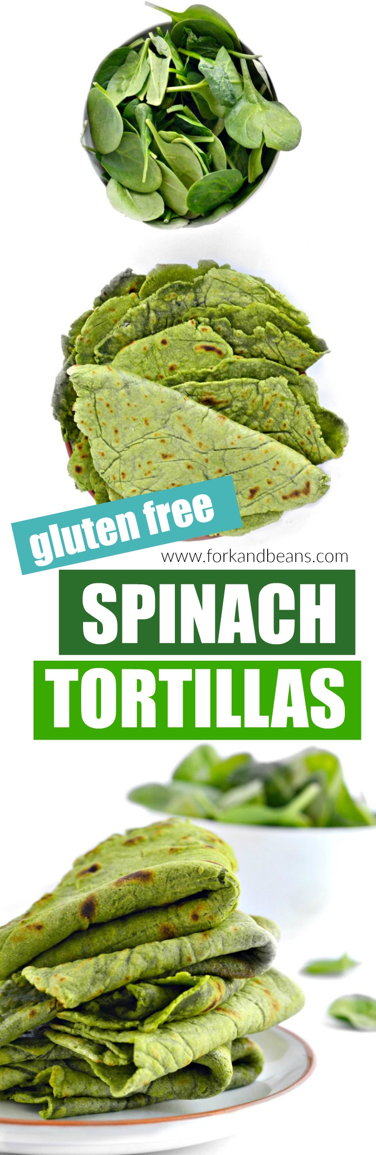 Homemade Spinach Tortillas (gluten-free)