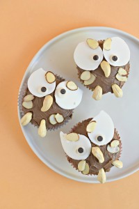 The CUTEST owl cupcakes that just so happen to be gluten free and vegan!