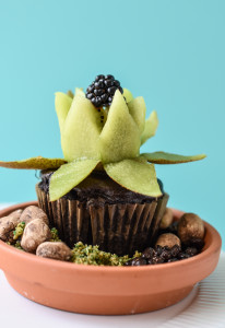 These gluten and dairy free DIY Edible Terrariums are Mother Nature's way of including those of us with brown thumbs.