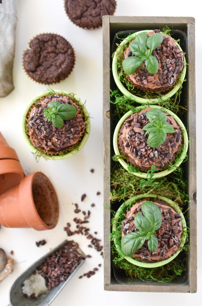 Celebrate Earth Day with a fun and easy edible craft with these gluten free Plant A Tree Cupcakes 