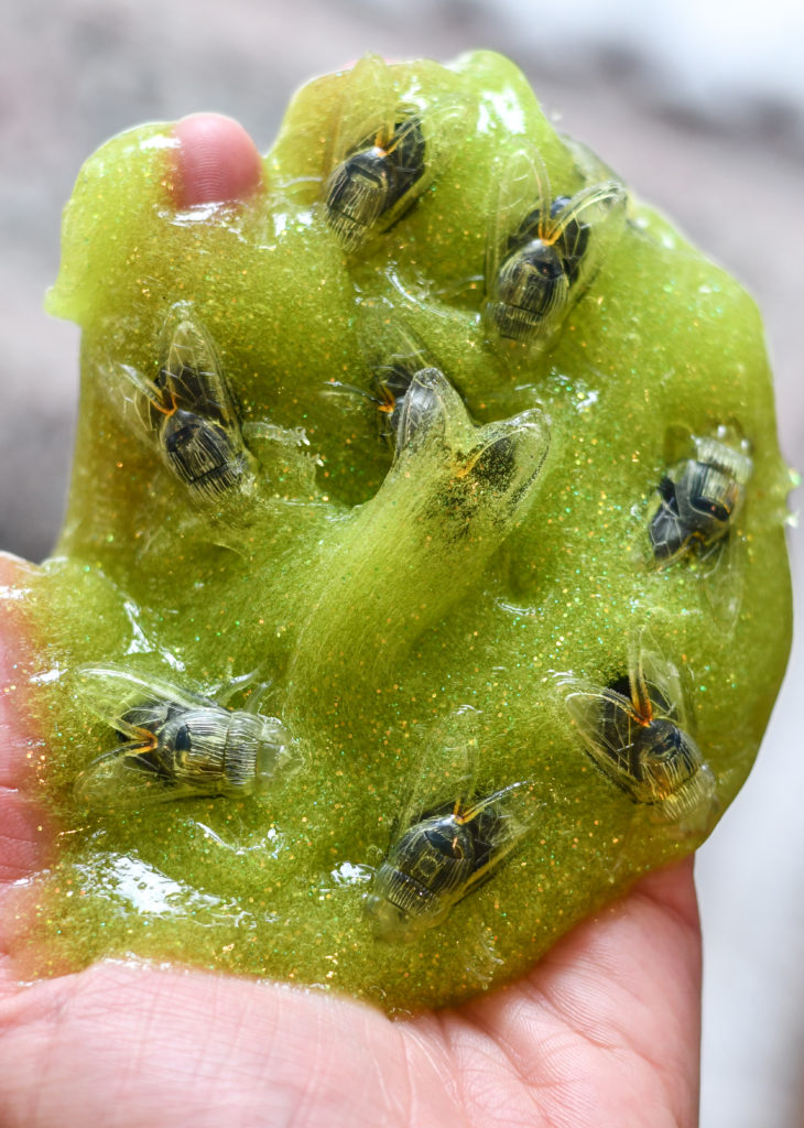 hand holding green halloween slime with fake flies