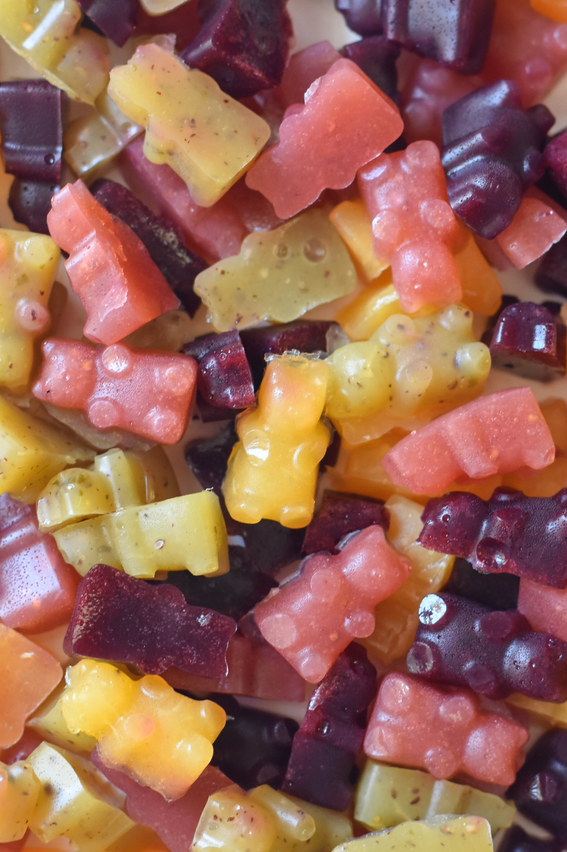 Healthy Homemade Gummy Bear Fruit Snacks - A Fork's Tale