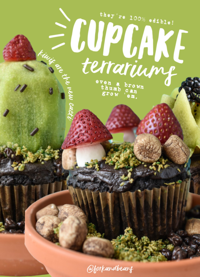 Cupcake Terrariums